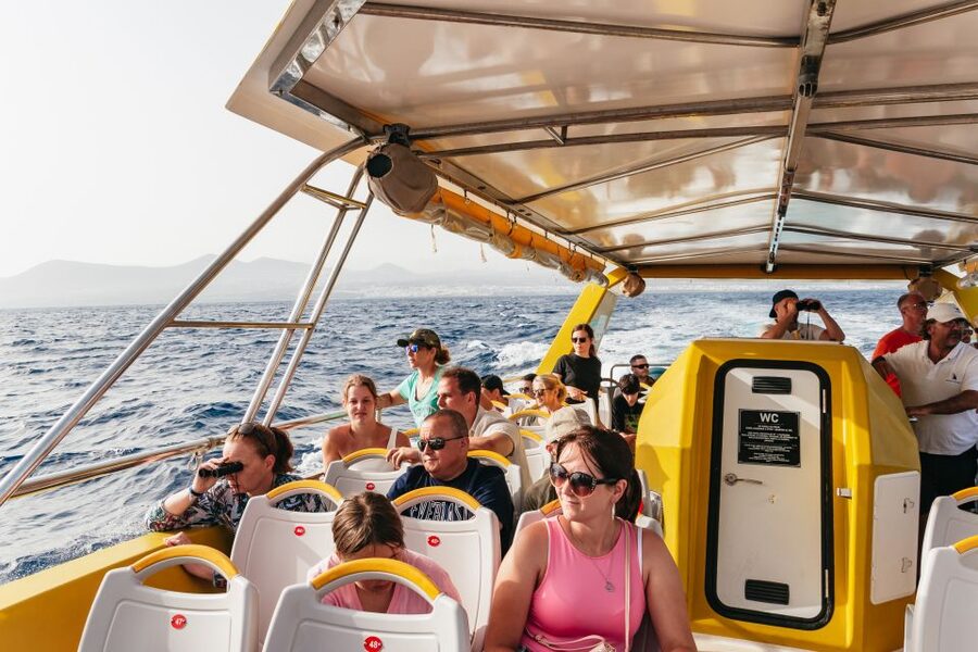 Lanzarote: 2.5-Hour Sunset and Dolphins Cruise - Price and value: does $61 buy a good evening?
