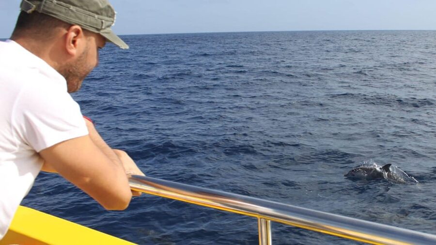 Lanzarote: 2.5-Hour Sunset and Dolphins Cruise - The Biosfera Jet speedboat: fast, fun, and a little messy (in a good way)