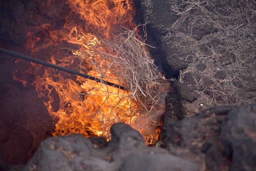 Lanzarote: 5-Hour Timanfaya National Park Southern Tour - Key points to know before you go