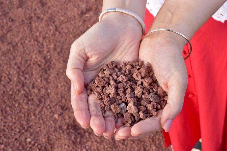 Lanzarote: 5-Hour Timanfaya National Park Southern Tour - La Geria wine tasting in the cratered vineyards