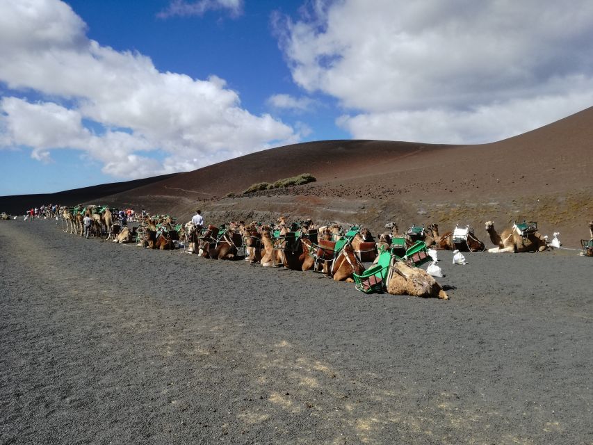 Lanzarote: 5-Hour Timanfaya National Park Southern Tour - Timing, comfort, and mobility tips for a smooth day
