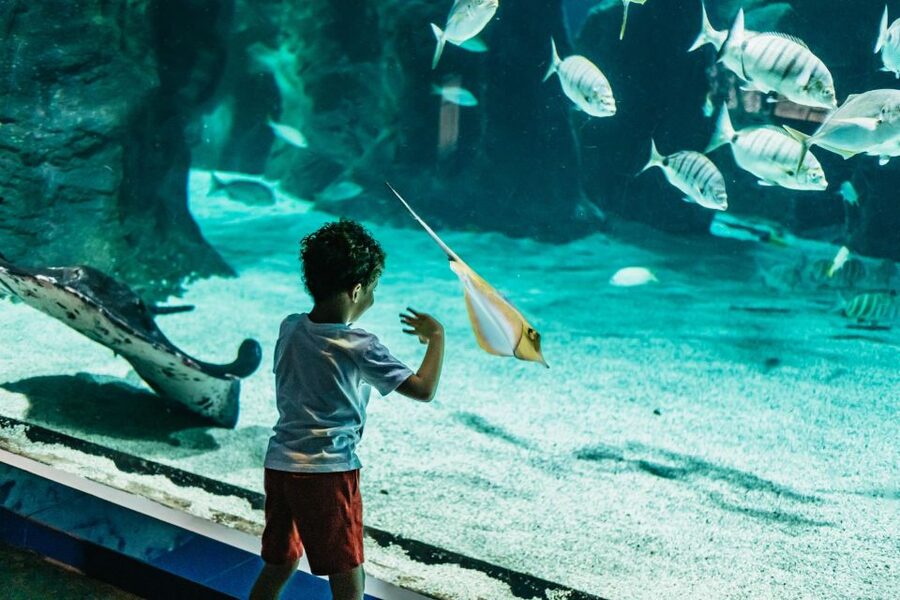 Lanzarote: Aquarium Entry Ticket - Key highlights I’d plan around