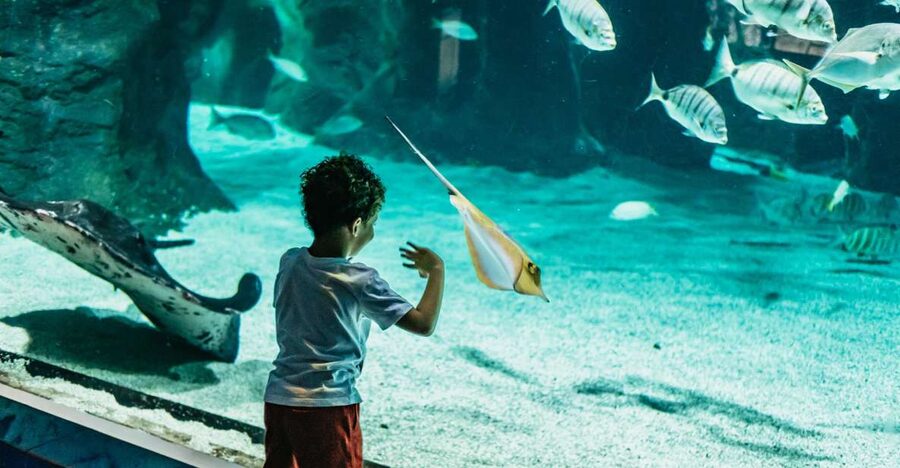 Lanzarote: Aquarium Entry Ticket - First stop: getting your bearings at the Lanzarote Aquarium