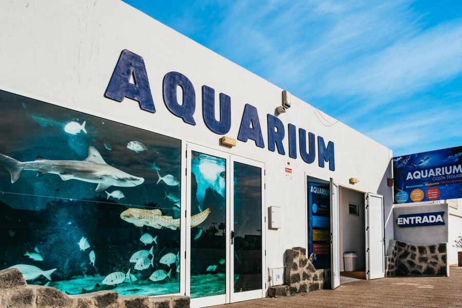 Lanzarote: Aquarium Entry Ticket - 33 aquariums, 1 million liters: what you actually see