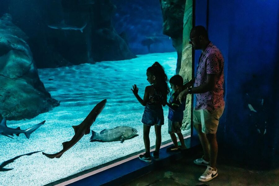 Lanzarote: Aquarium Entry Ticket - How long should you plan for? (And what affects your pace)