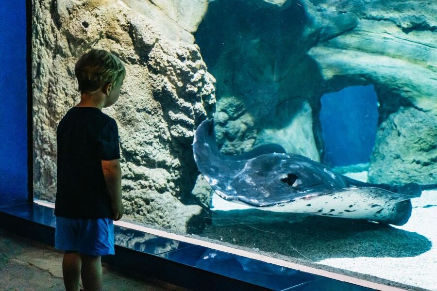 Lanzarote: Aquarium Entry Ticket - Price and value: is $18 a fair deal?