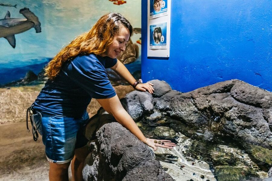 Lanzarote: Aquarium Entry Ticket - Who this works best for (and who should rethink it)