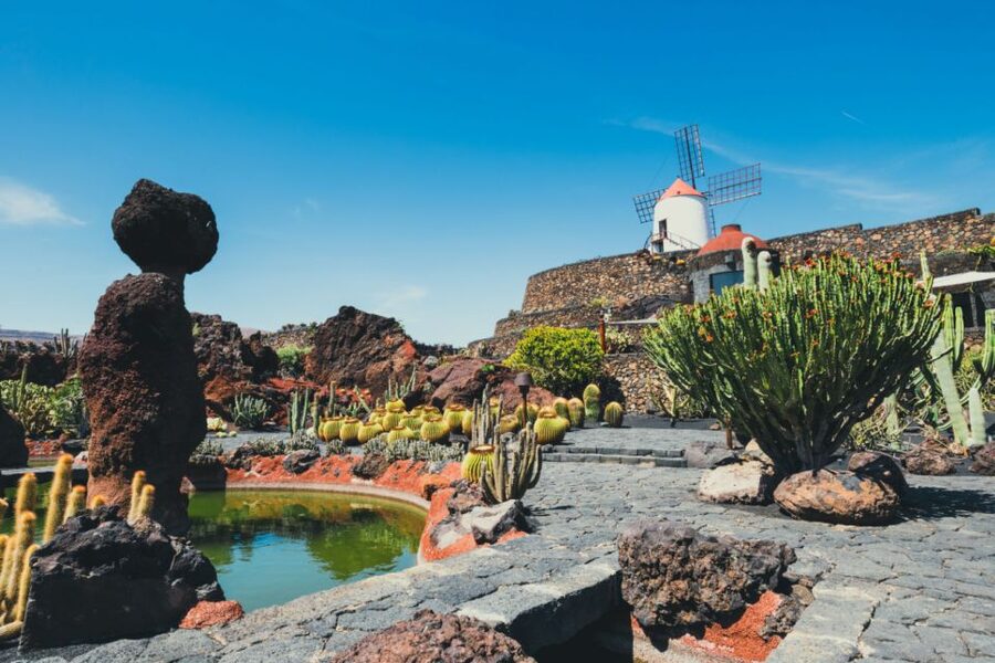 Lanzarote: César Manrique Full-Day Tour - Price and value: is $100 per person worth it?