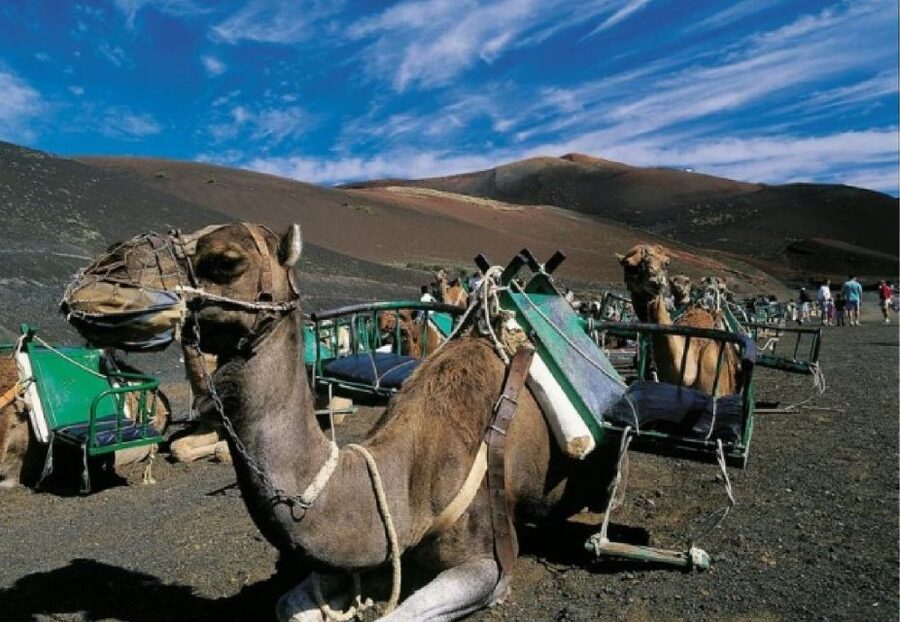 Lanzarote: Day Tour for Cruise Passengers - Price, Time, and What You Really Get for $94