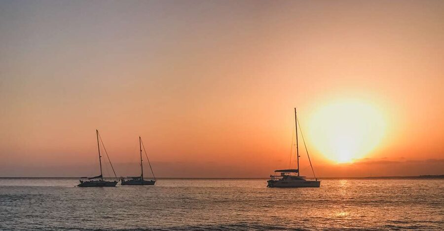 Lanzarote: Dolphin-Watching Sunset Cruise with Transfers - Key things that make this cruise worth your time