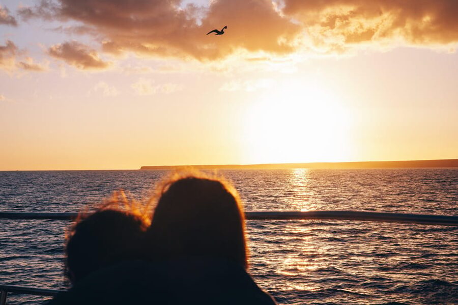 Lanzarote: Dolphin-Watching Sunset Cruise with Transfers - A 2-Hour Lanzarote Sunset Cruise, Puerto del Carmen to Back Again