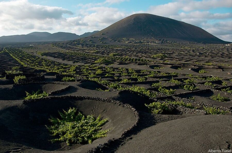 Lanzarote: Full Day Bus Tour with Scenic Views - North, South, and Why This Route Works So Well