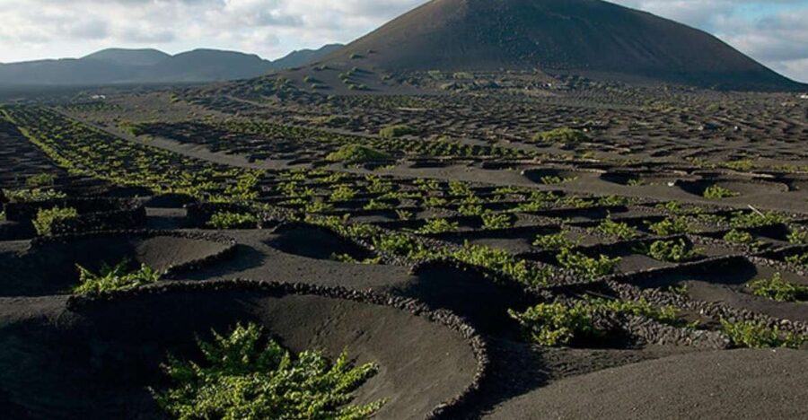 Lanzarote: Full Day Bus Tour with Scenic Views - Hotel Pickup, Coach Comfort, and the Morning Reality Check