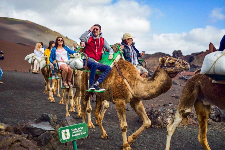 Lanzarote: Full-Day Island Highlights Tour - Haría’s 1,000 Palms Time and La Geria Wine Before Lunch