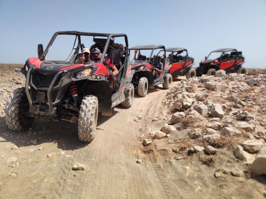 Lanzarote: Guided Can-Am Trail Buggy Tour - Key things to know before you go