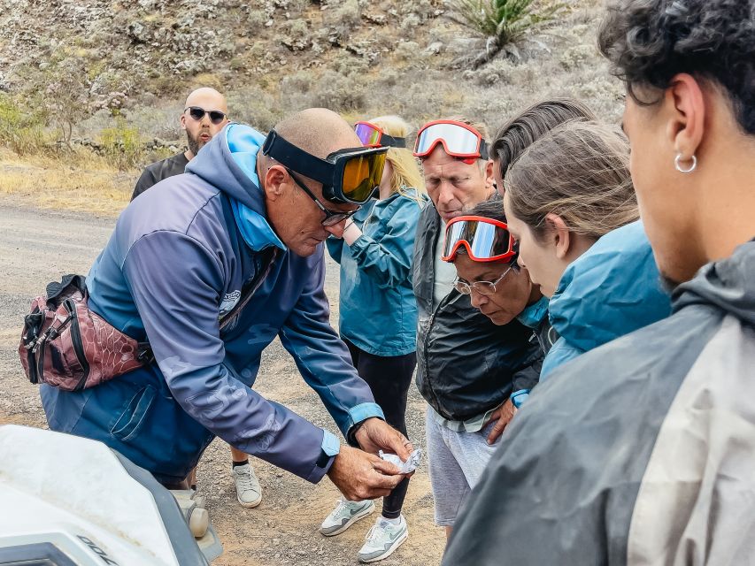 Lanzarote: Guided Off-Road Volcano Buggy Tour - Key highlights to notice before you go