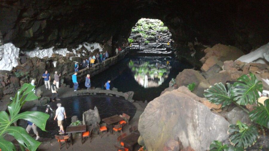 Lanzarote: Jameos del Agua & North Island for Cruise Guests - Haría and the Valley of a Thousand Palms: green in the volcanic north