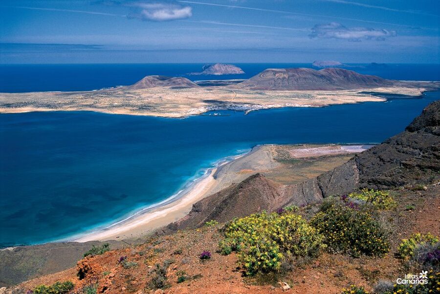 Lanzarote: Jameos del Agua & North Island for Cruise Guests - The guide experience: clear explanations and a calm plan