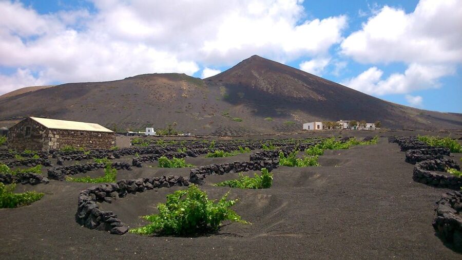 Lanzarote: La Geria Vineyards Hiking Tour - La Geria’s real story: the miracle of Lanzarote, not just pretty vineyards