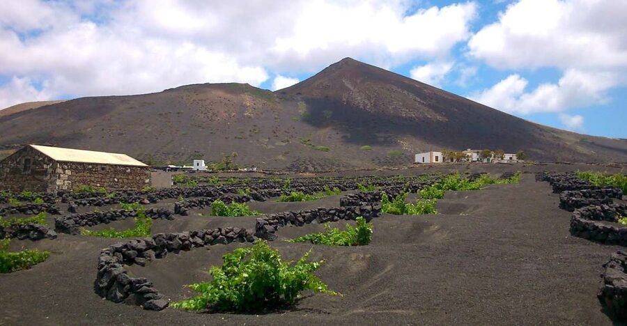 Lanzarote: La Geria Vineyards Hiking Tour - Price and value: why $54 can actually make sense here