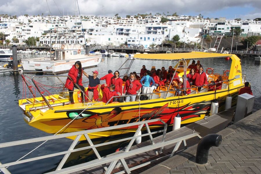 Lanzarote: Lobos Island Half-Day Dolphin Watching Trip - Price and Value: Is $85 Fair for This Half-Day?