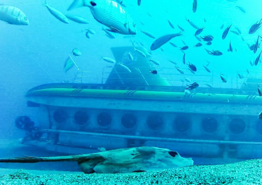 Lanzarote: Real Submarine Dive with Hotel Pickup - The certificate and the Puerto Calero Marina bonus