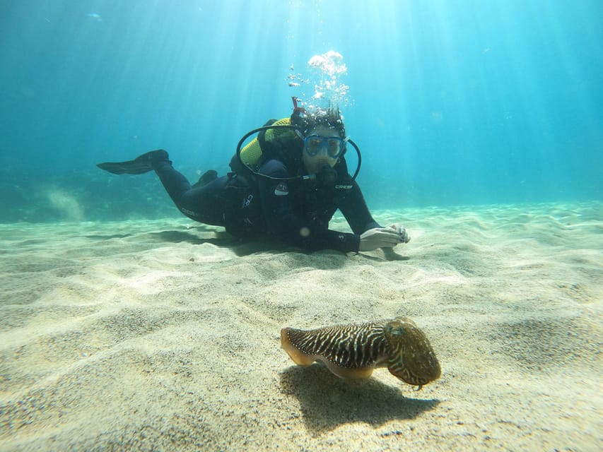 Lanzarote: Scuba Diving for Beginners - 1 Dive - Key things I’d pencil into your day