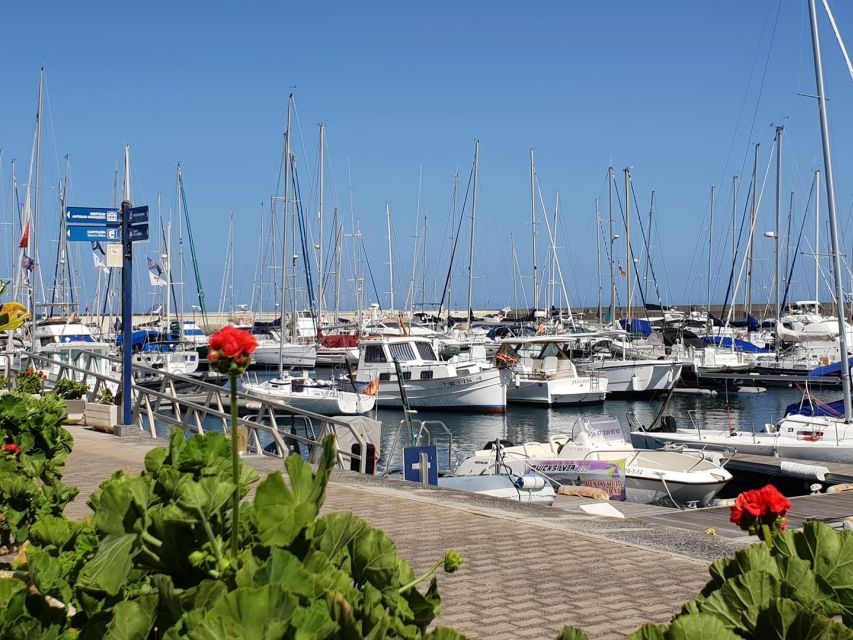 Lanzarote: Sea Safari Experience - Should you book Sea Safari Lanzarote?