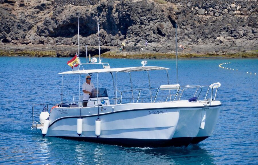 Lanzarote: Sea Safari Experience - Comfort, rules on board, and how to prepare