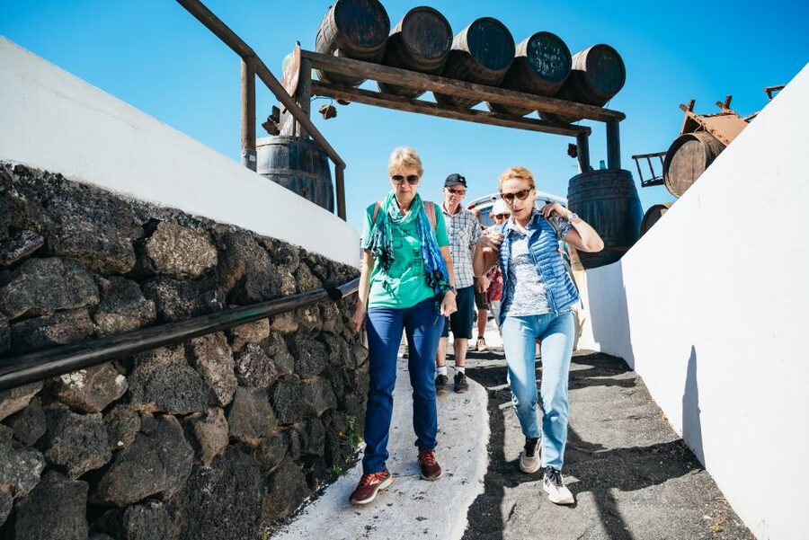 Lanzarote: Timanfaya National Park & La Geria Tour - Should you book the Lanzarote Timanfaya and La Geria tour?