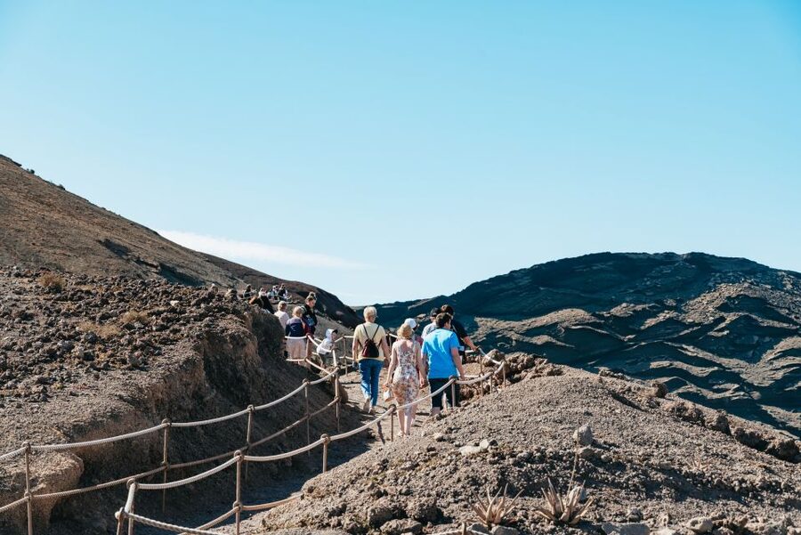 Lanzarote: Timanfaya National Park & La Geria Tour - La Geria wine country: what to notice in a short 20-minute visit