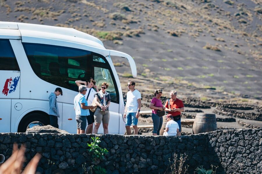 Lanzarote: Timanfaya National Park & La Geria Tour - Price and value: why it can be a smart buy at around $72