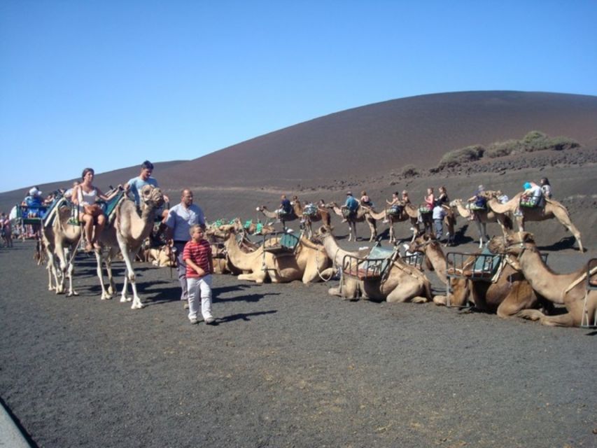 Lanzarote: Timanfaya National Park Tour - The top stop and the live experiments (the part people remember)