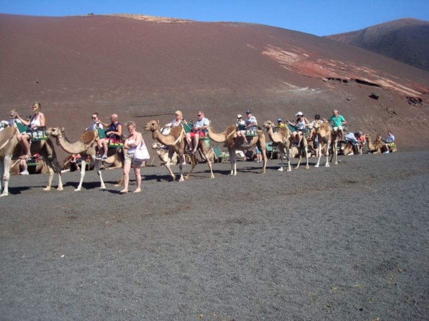 Lanzarote: Timanfaya National Park Tour - Who this tour suits best