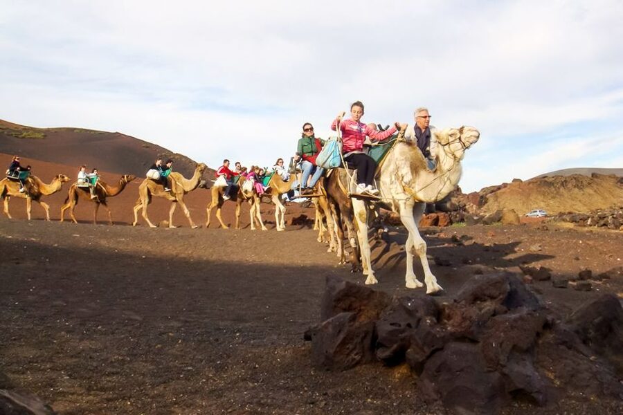 Lanzarote: Timanfaya Park and Jameos del Agua Full-Day Tour - Quick reasons this day tour hits the sweet spot