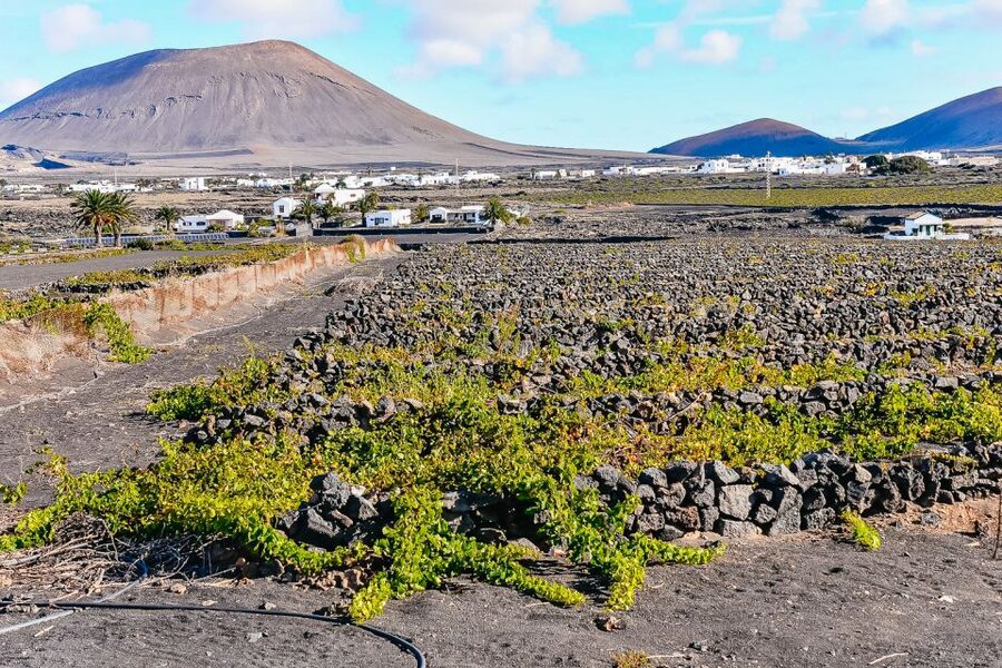 Lanzarote: Volcanos of Timanfaya and Caves Tour with Lunch - Who this Lanzarote highlights day is best for