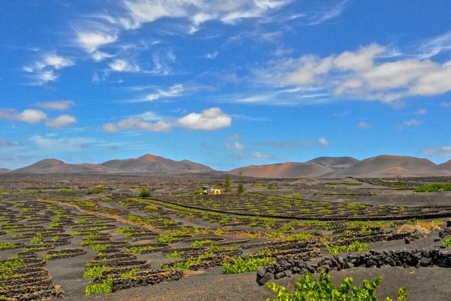 Lanzarote: Volcanos of Timanfaya and Caves Tour with Lunch - From Las Salinas to Los Hervideros, the day starts with lava scale