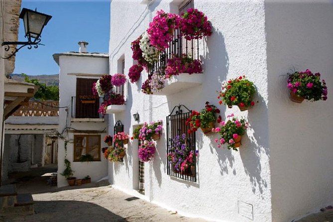 Las Alpujarras Full-Day Tour with Optional Lunch from Granada - Key highlights worth planning for