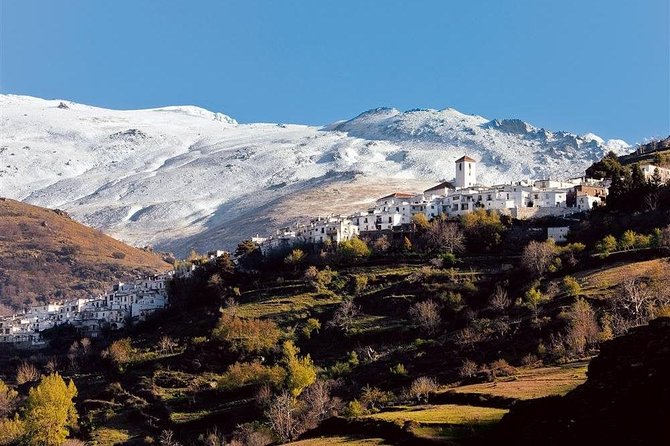 Las Alpujarras Full-Day Tour with Optional Lunch from Granada - Fuente Agria waterfall: a short stop with a big payoff