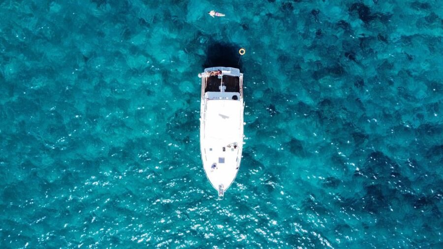 Las Galletas: Whale & Dolphin Tour with Local Skipper - FAQ