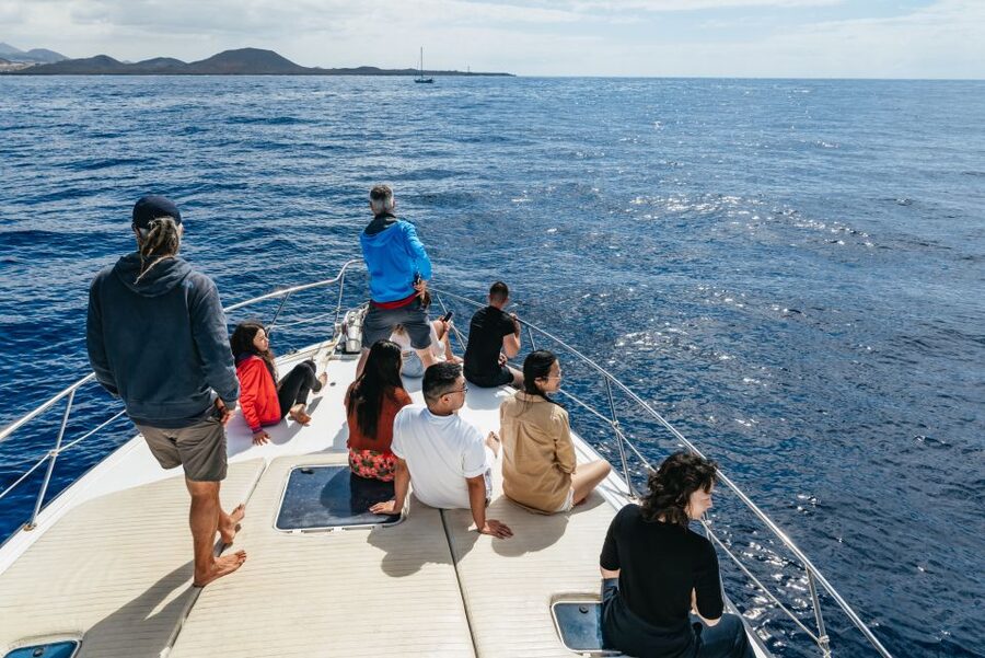 Las Galletas: Whale & Dolphin Tour with Local Skipper - Coming back along the coast toward Punta de Rasca views