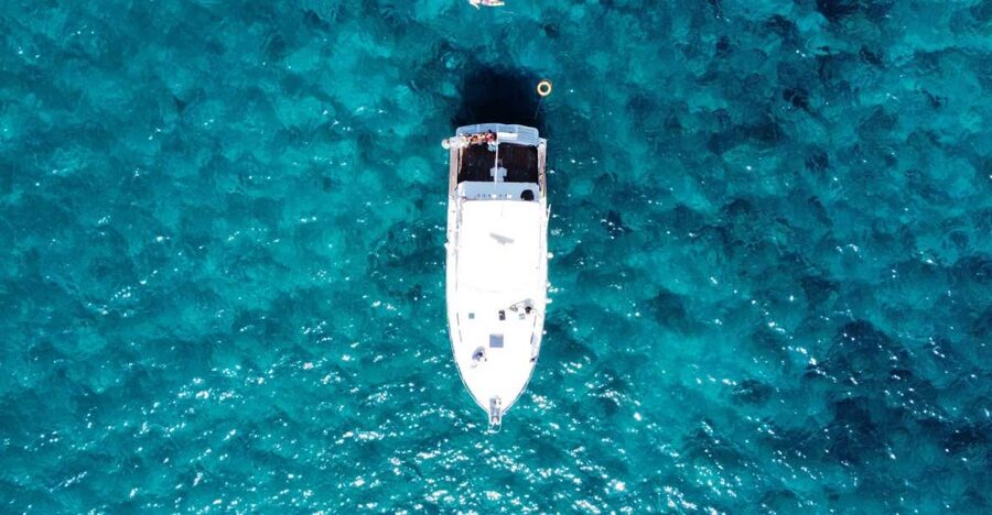 Las Galletas: Whale & Dolphin Tour with Local Skipper - Who should book this Tenerife whale and dolphin cruise?