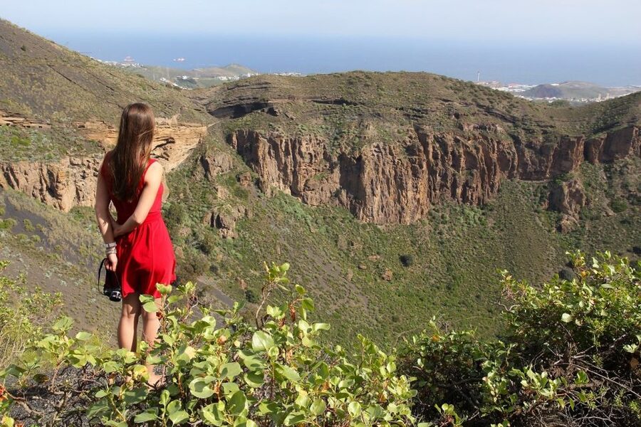 Las Palmas, Botanical Gardens and Bandama Volcano Tour - Poema del Mar: an optional aquarium that can take over your focus