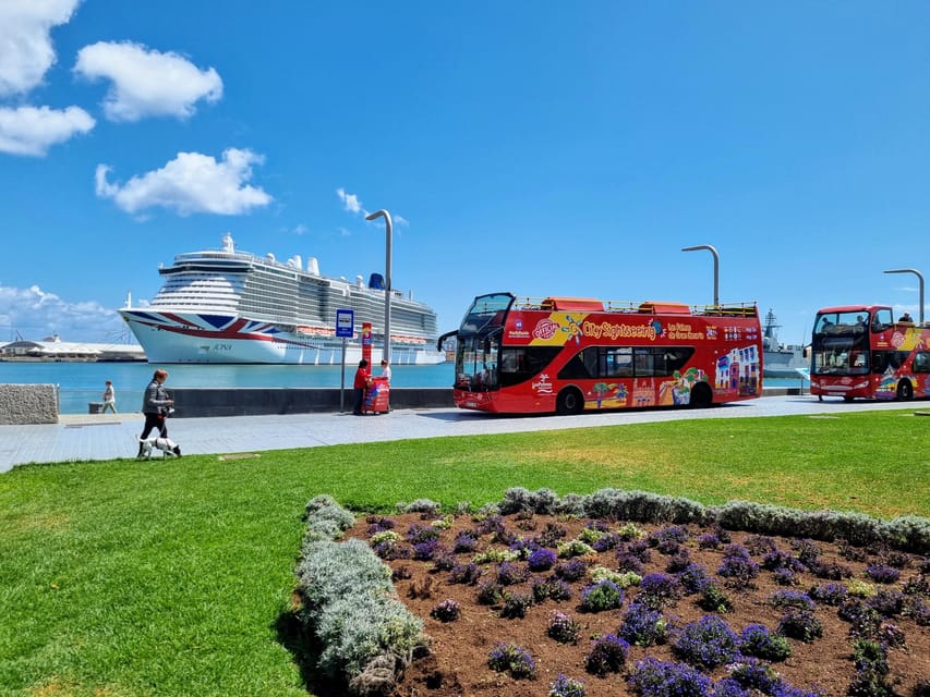 Las Palmas: City Sightseeing Hop-On Hop-Off Bus Tour - Stop 12: Playa de las Canteras as your easy finale