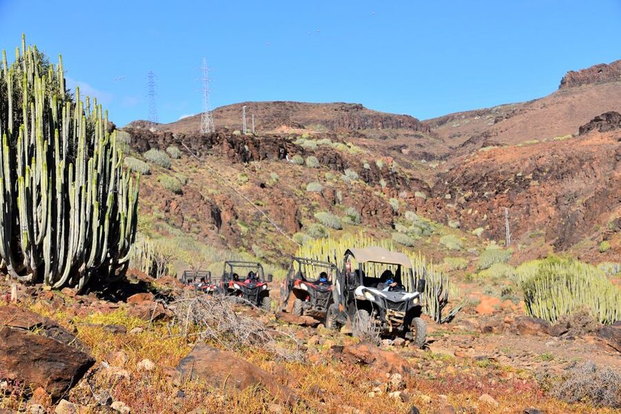 Las Palmas: Gran Canaria Guided Buggy Tour - Key Highlights You Will Care About