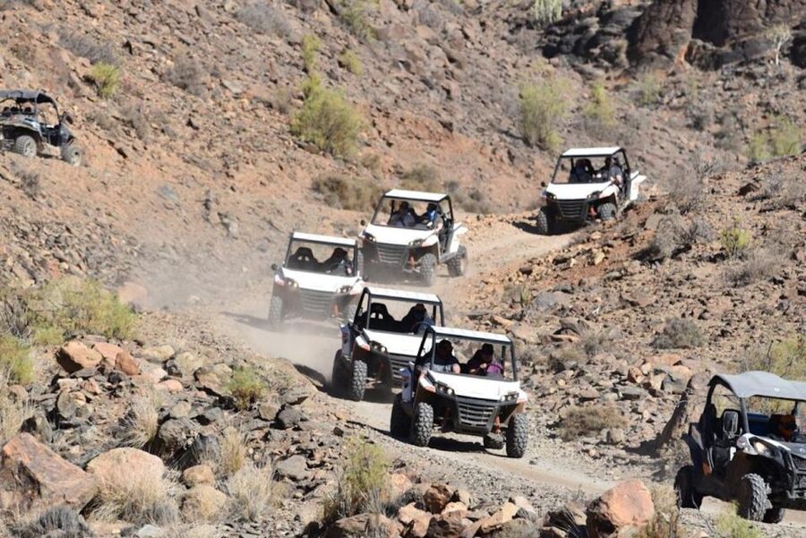 Las Palmas: Gran Canaria Guided Buggy Tour - Stops for Panoramic Views: How to Use the Photo Breaks