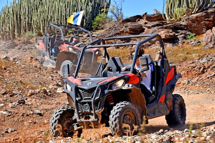 Las Palmas: Gran Canaria Guided Buggy Tour - What to Bring, What the Requirements Mean for You