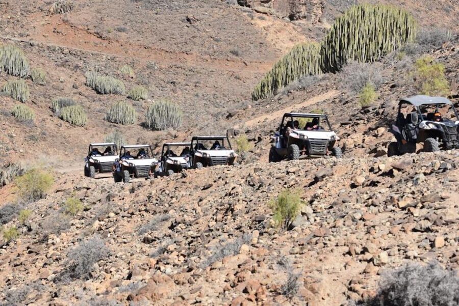 Las Palmas: Gran Canaria Guided Buggy Tour - Getting to the Venue, Gear Up, Then Hit the Dirt Roads