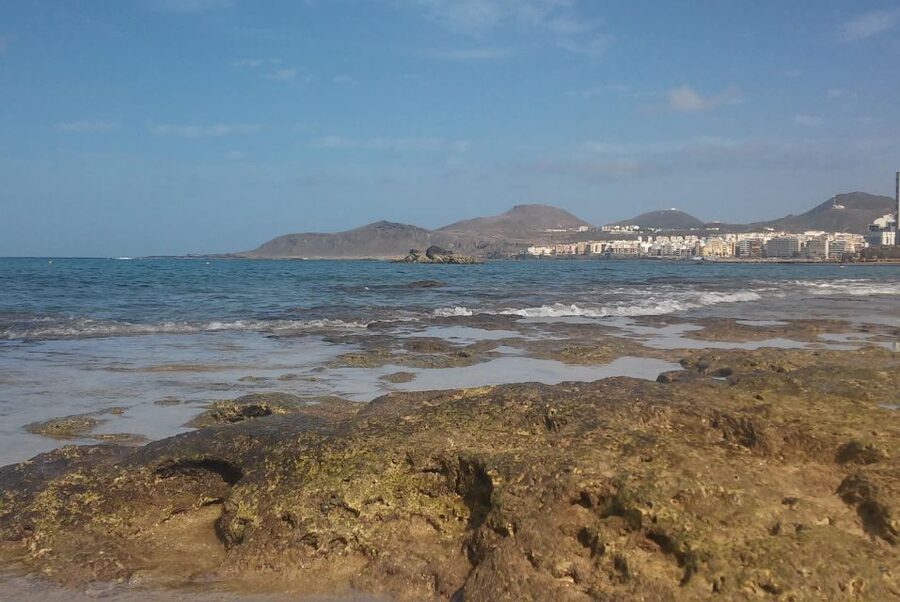 Las Palmas: Las Canteras Beach Snorkeling Trip - Las Canteras, the urban reef right off Las Palmas