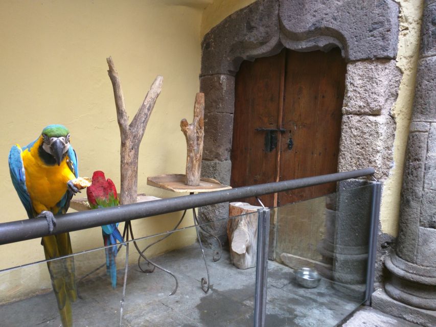 Las Palmas: Private Old City Guided Walking Tour with Tapas - Key things to know before you go